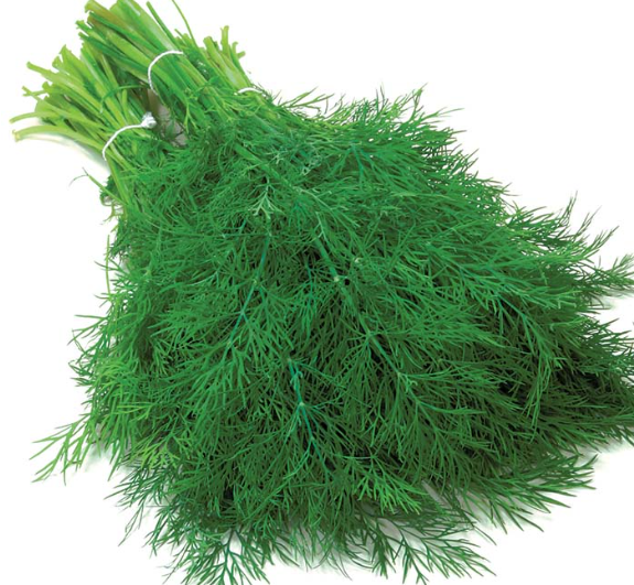 Dill