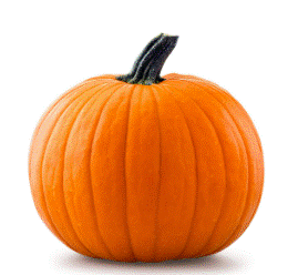 Squash Pumpkin