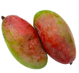 Florida mango  valencia