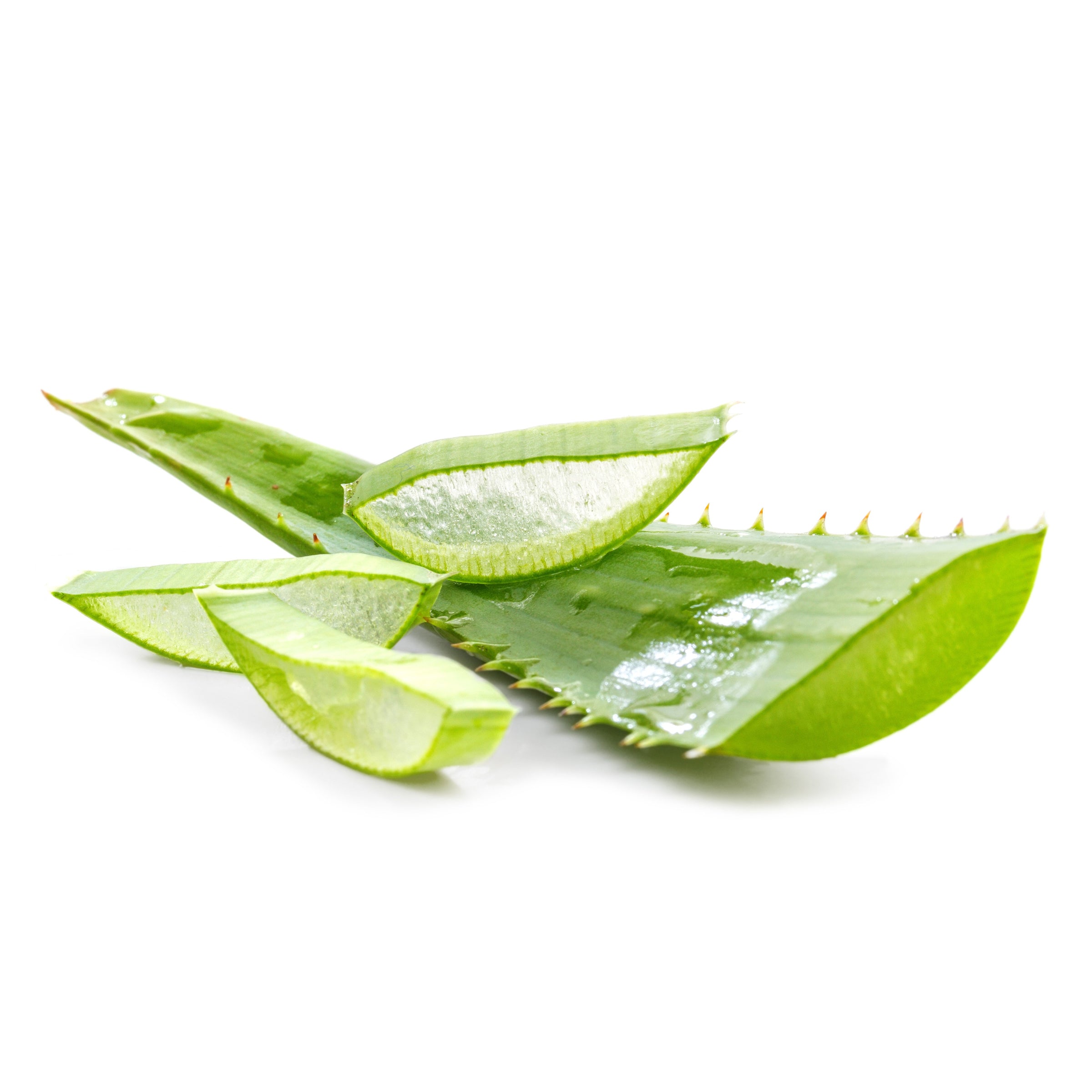 Measian Foods - Aloe - Aloe Vera - Savila
