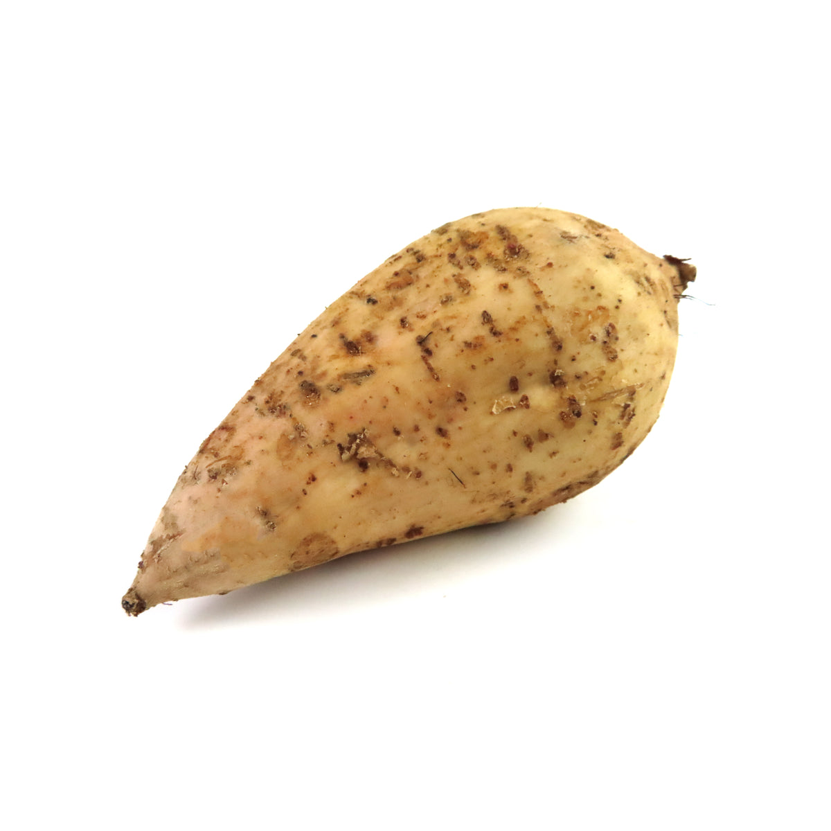 SHOP WHOLESALE YAM JUMBO