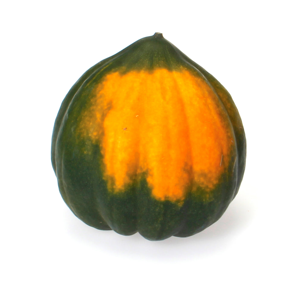 Squash Acorn