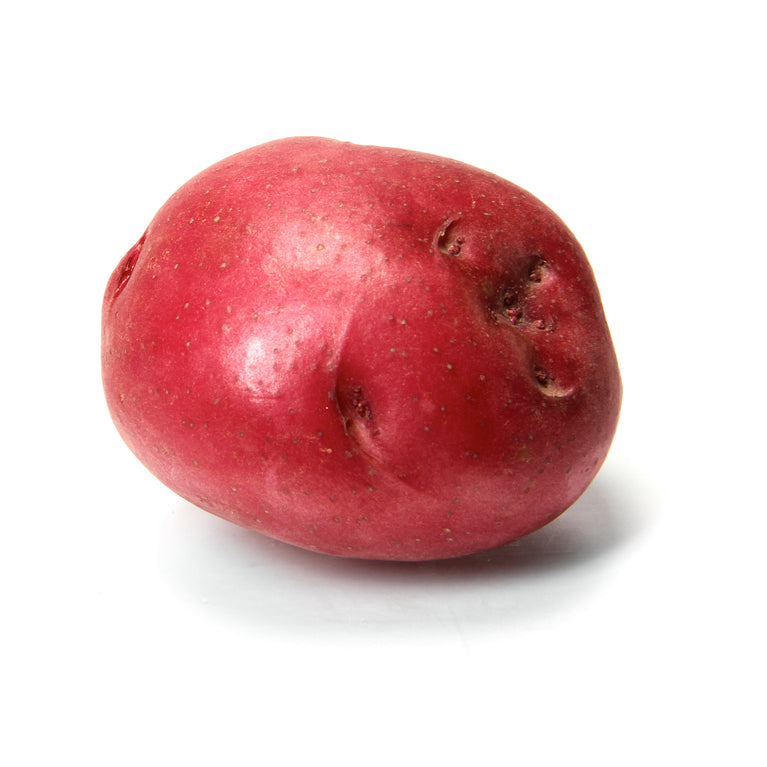 Potato Red medium size