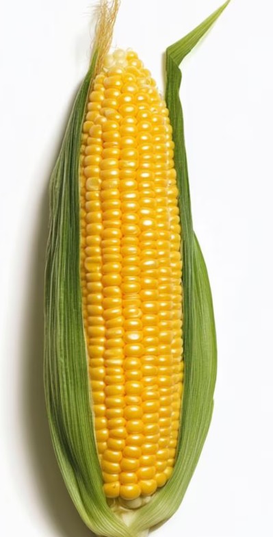 Corn freah