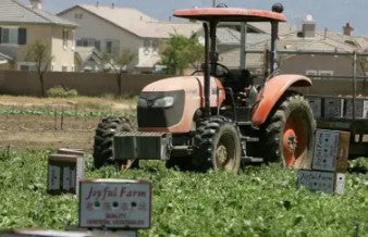 Produce Box Asian