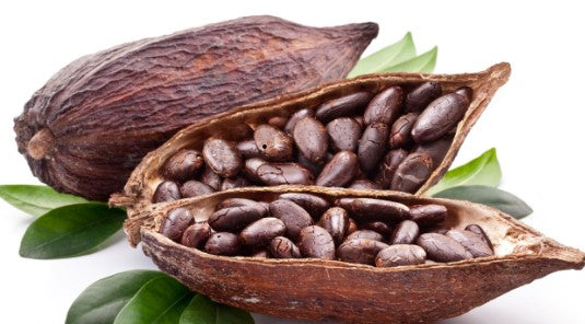 Cacao fruit
