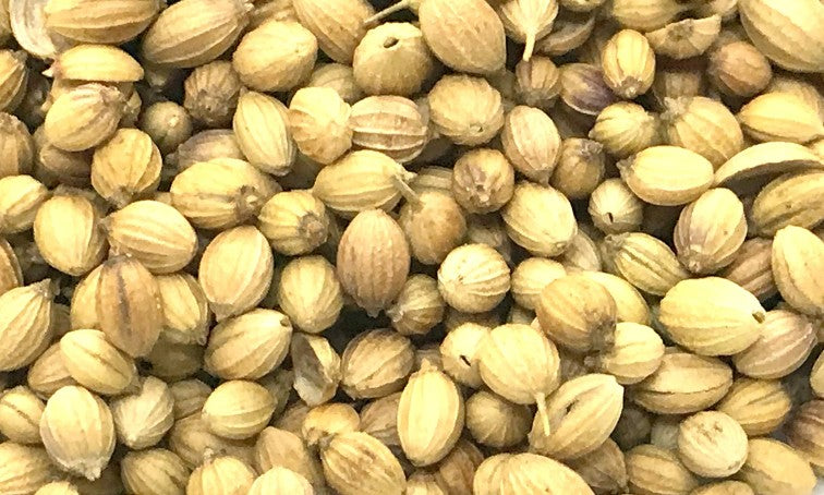 Coriander seed