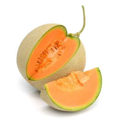 Cantaloupe Florida grown