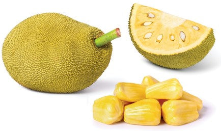 Jack Fruit