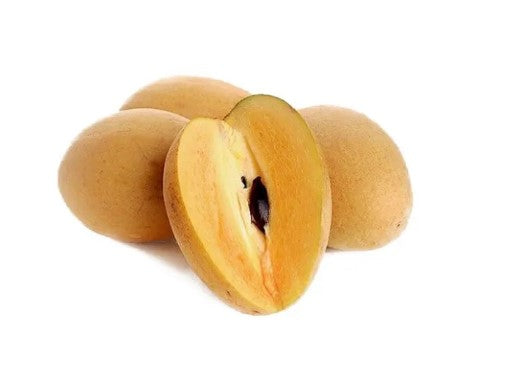 Sapodilla