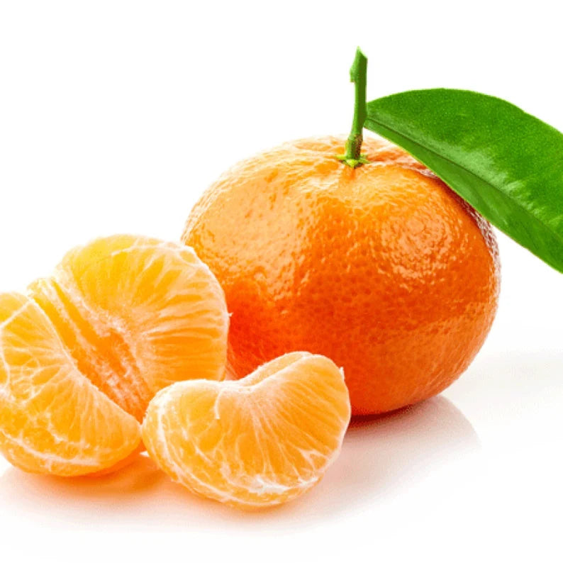 Orange tangerine satsuma