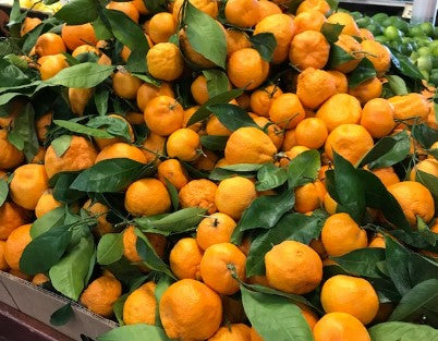 Orange tangerine satsuma