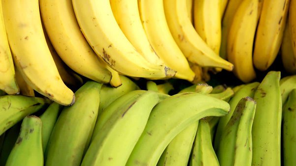 Banana Plantain Yellow