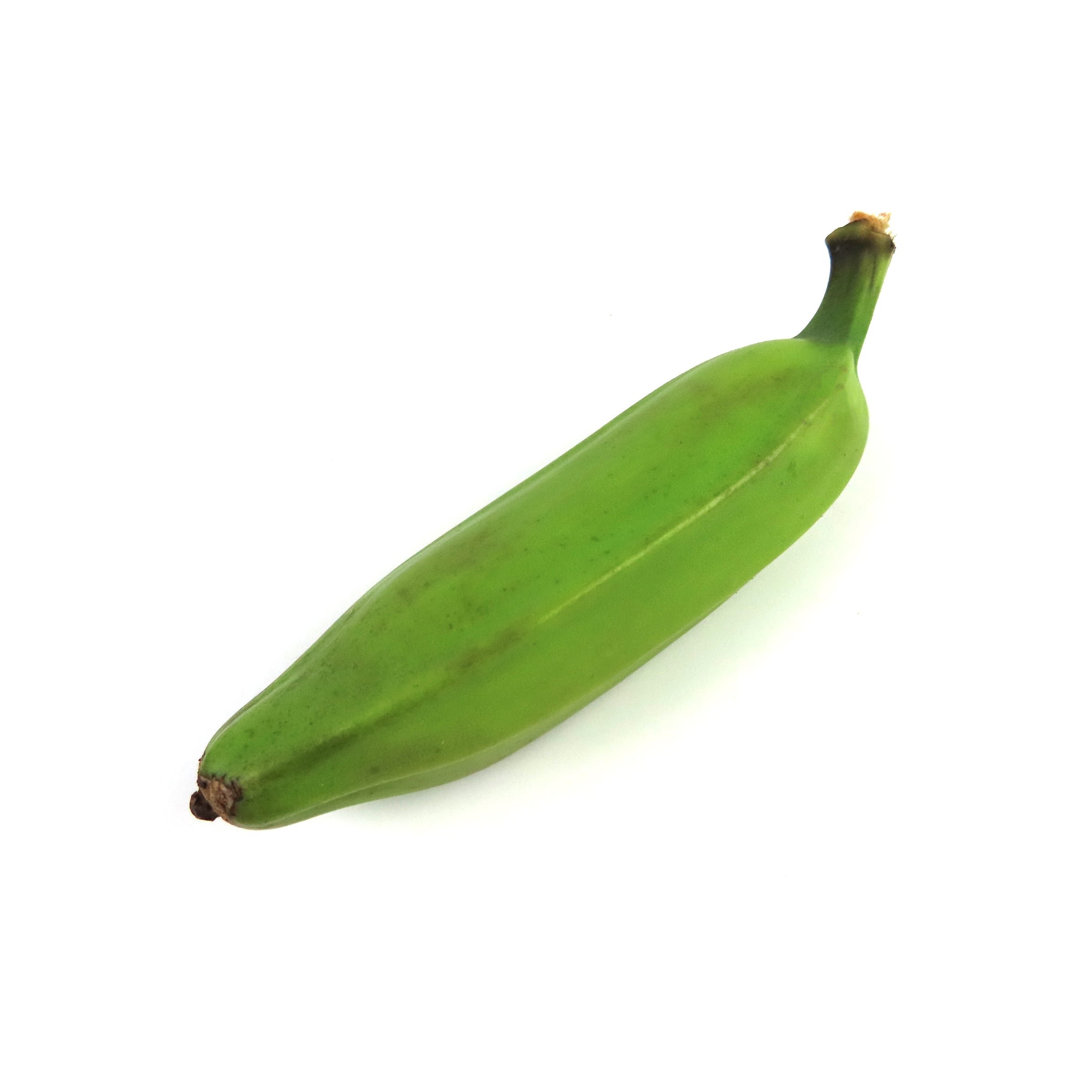 Banana Plantain Burro