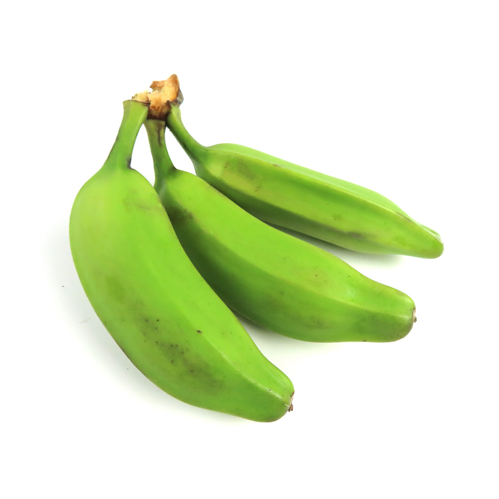 Banana Plantain Burro