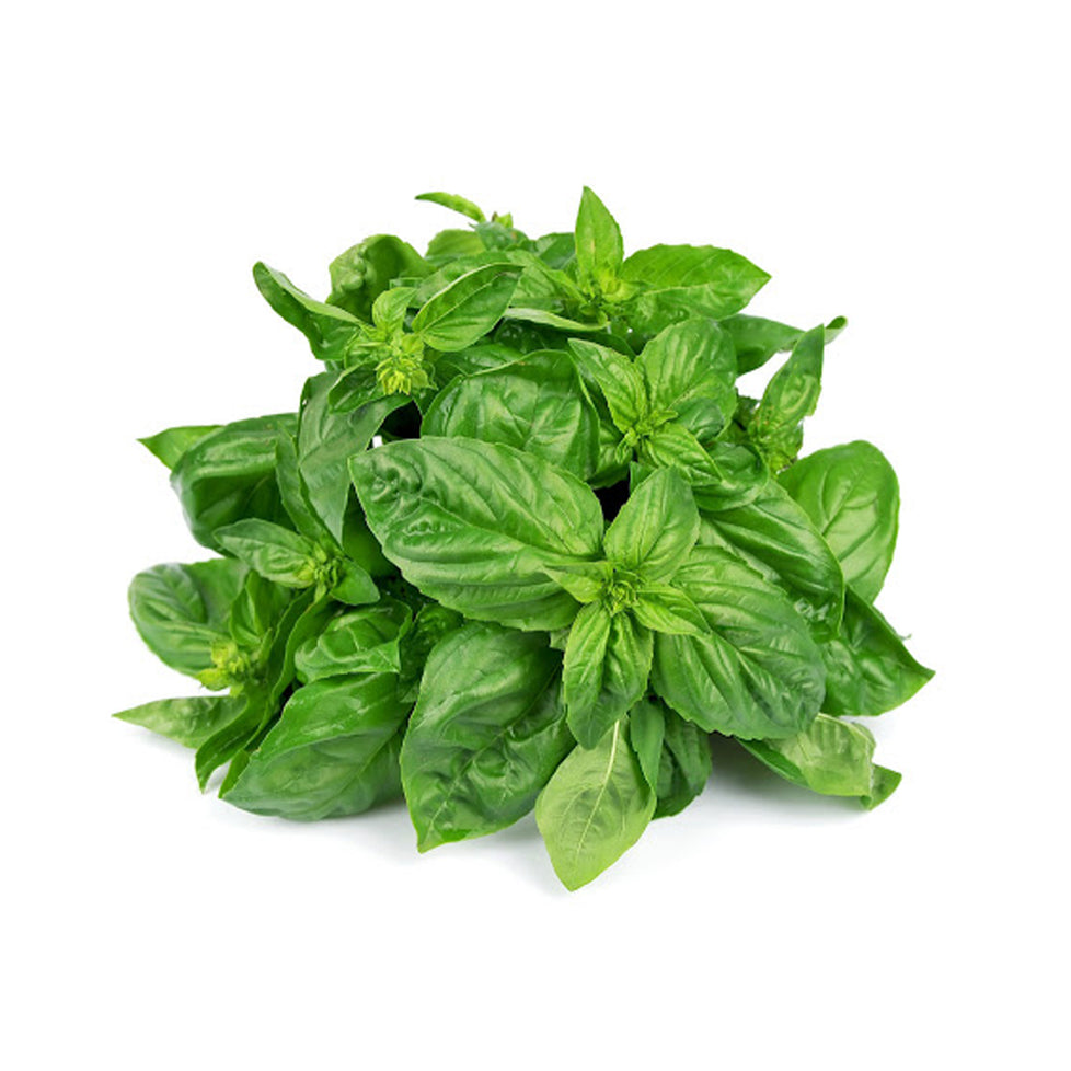 Basil Thai