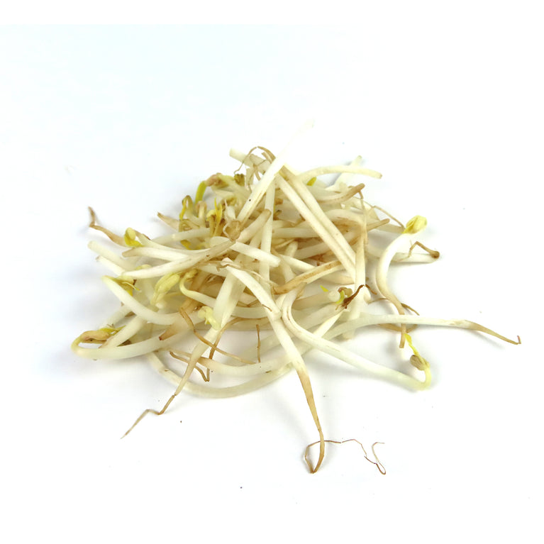 Bean Sprouts