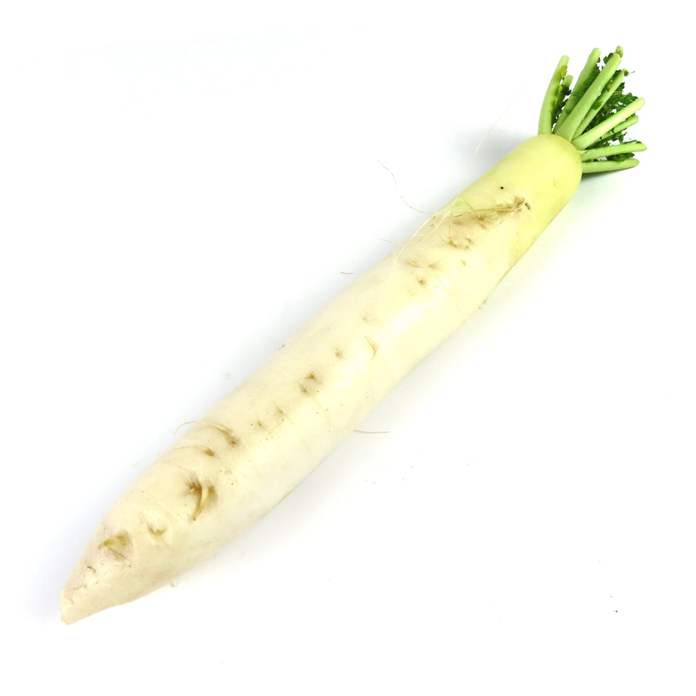 Lobok, Daikon