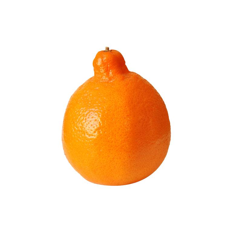 Orange Minneola