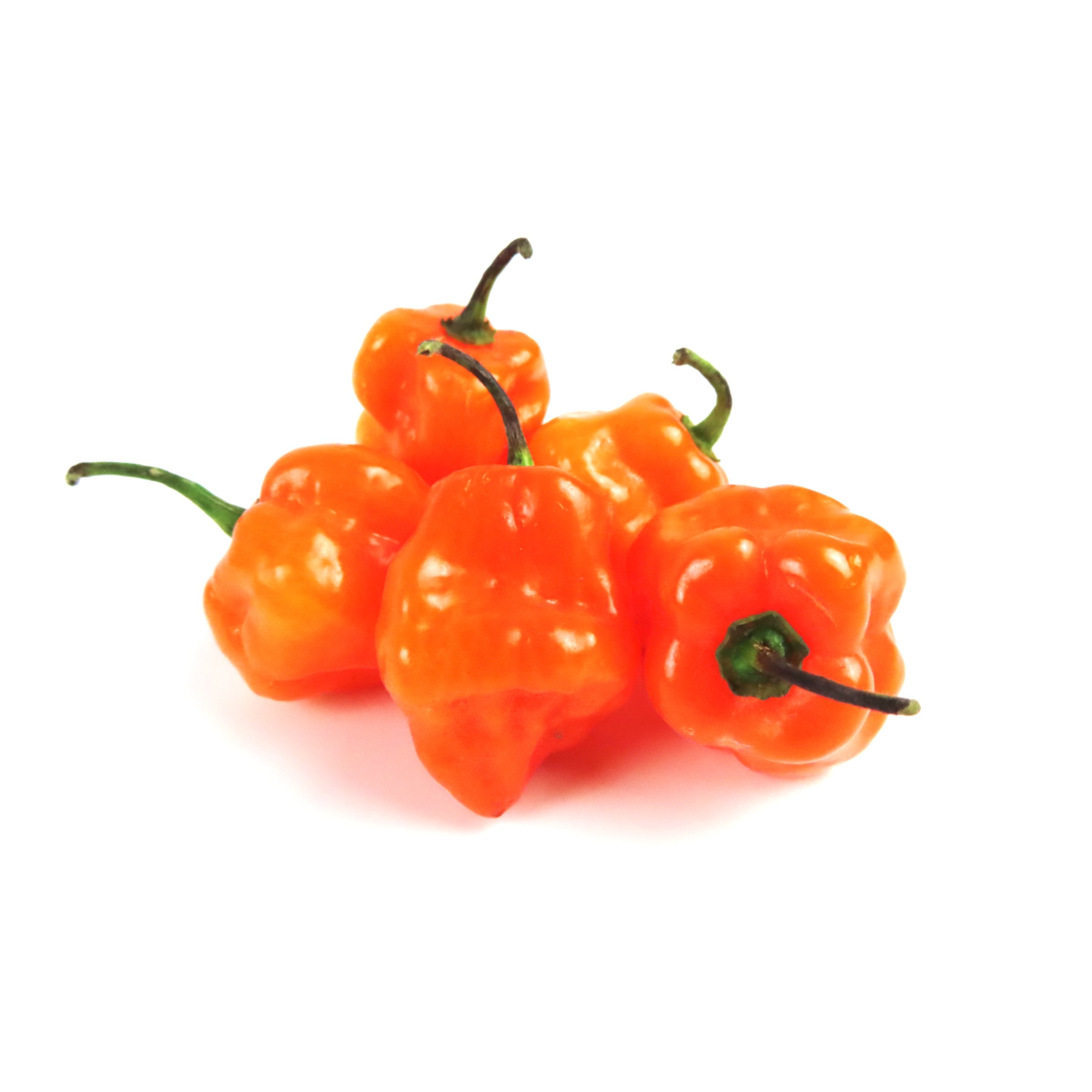 Pepper Habanero Orange