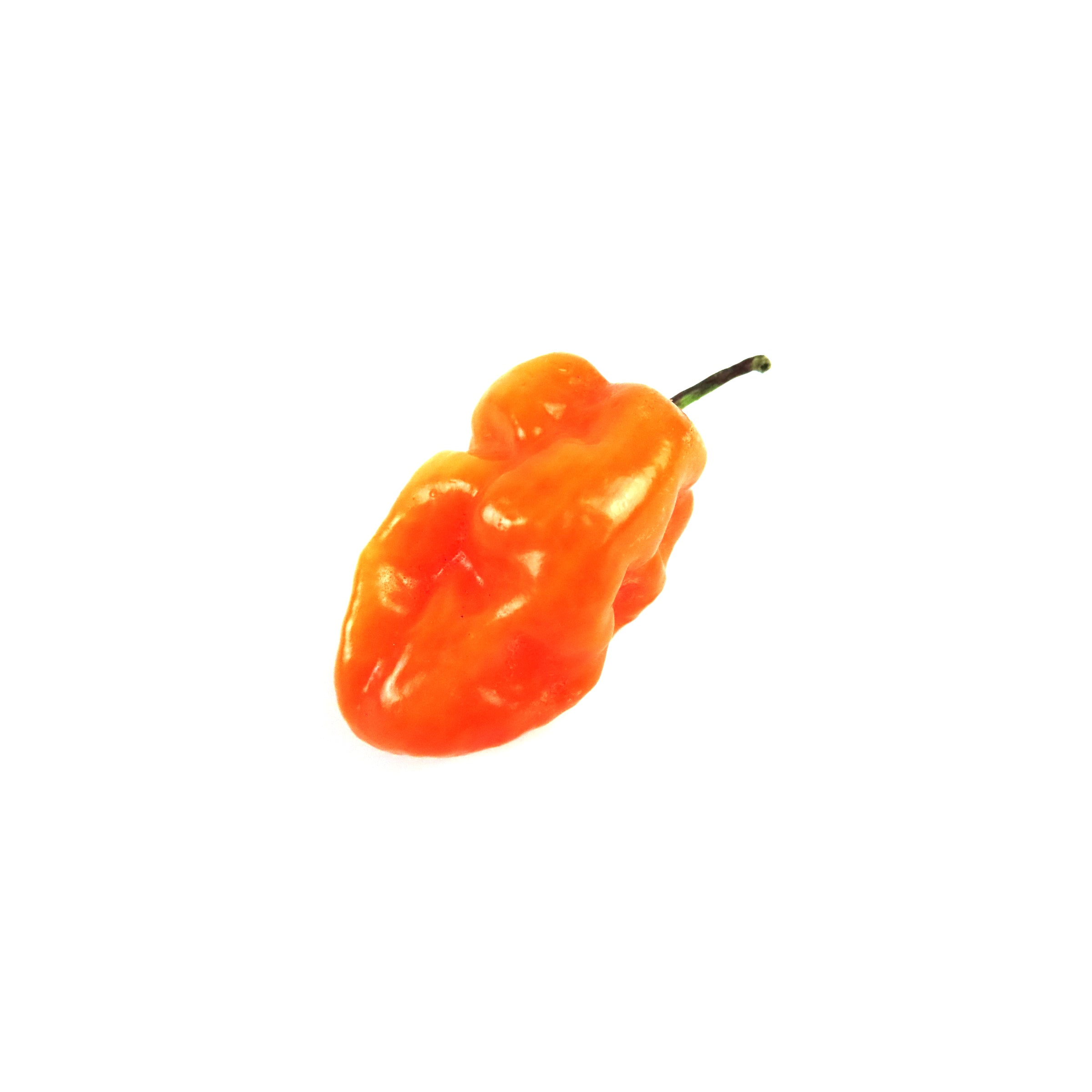 Pepper Habanero Orange