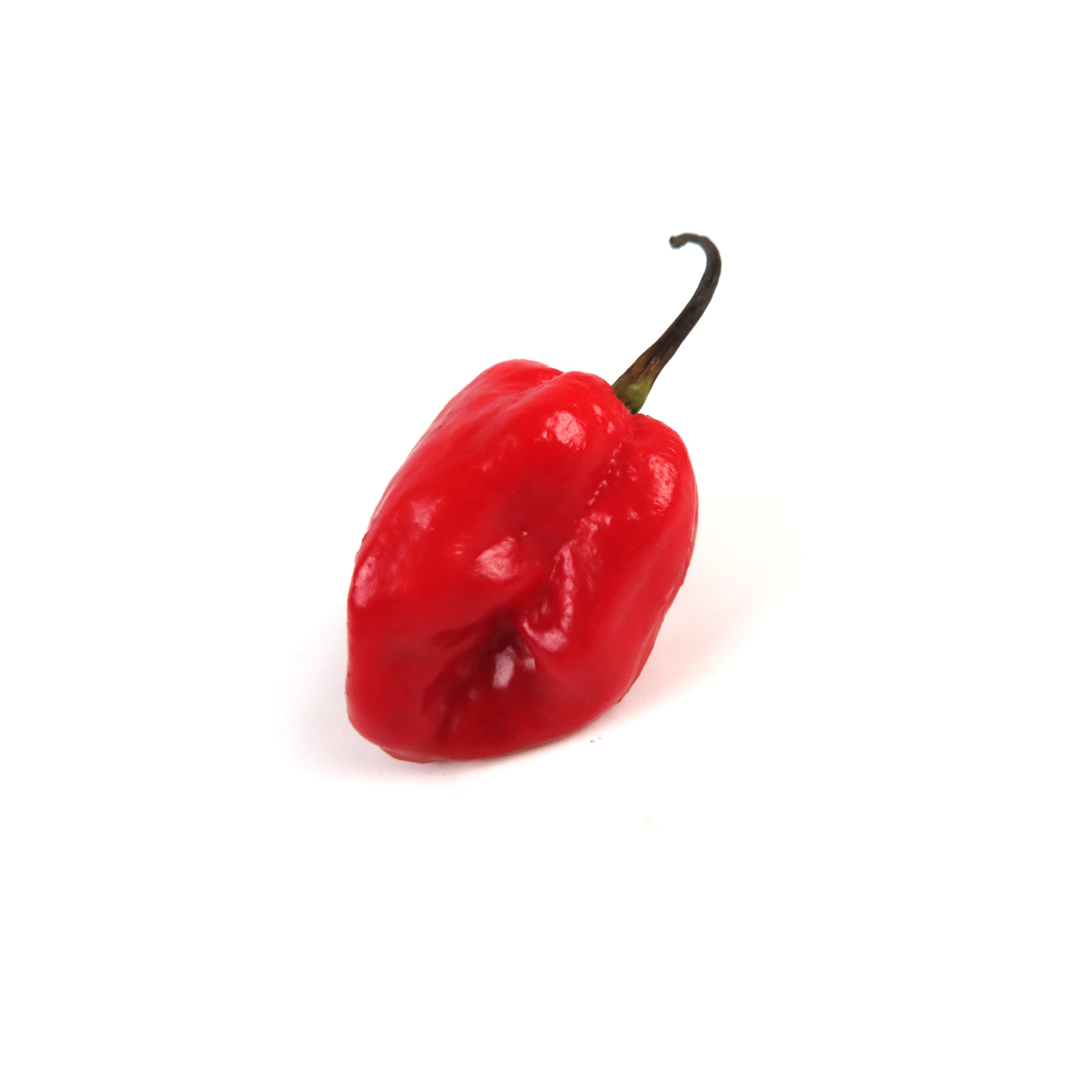 Pepper Habanero Red