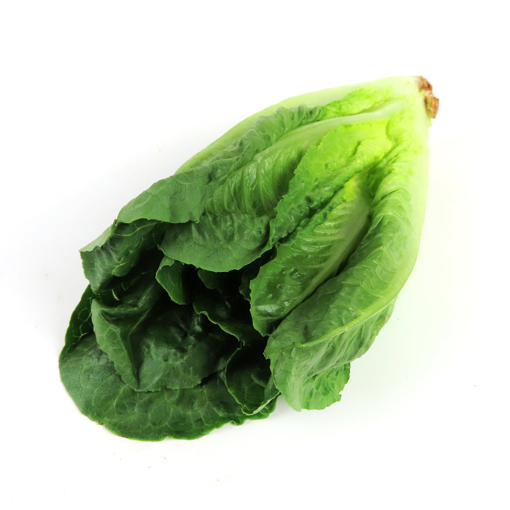 Lettuce Romaine Hearts