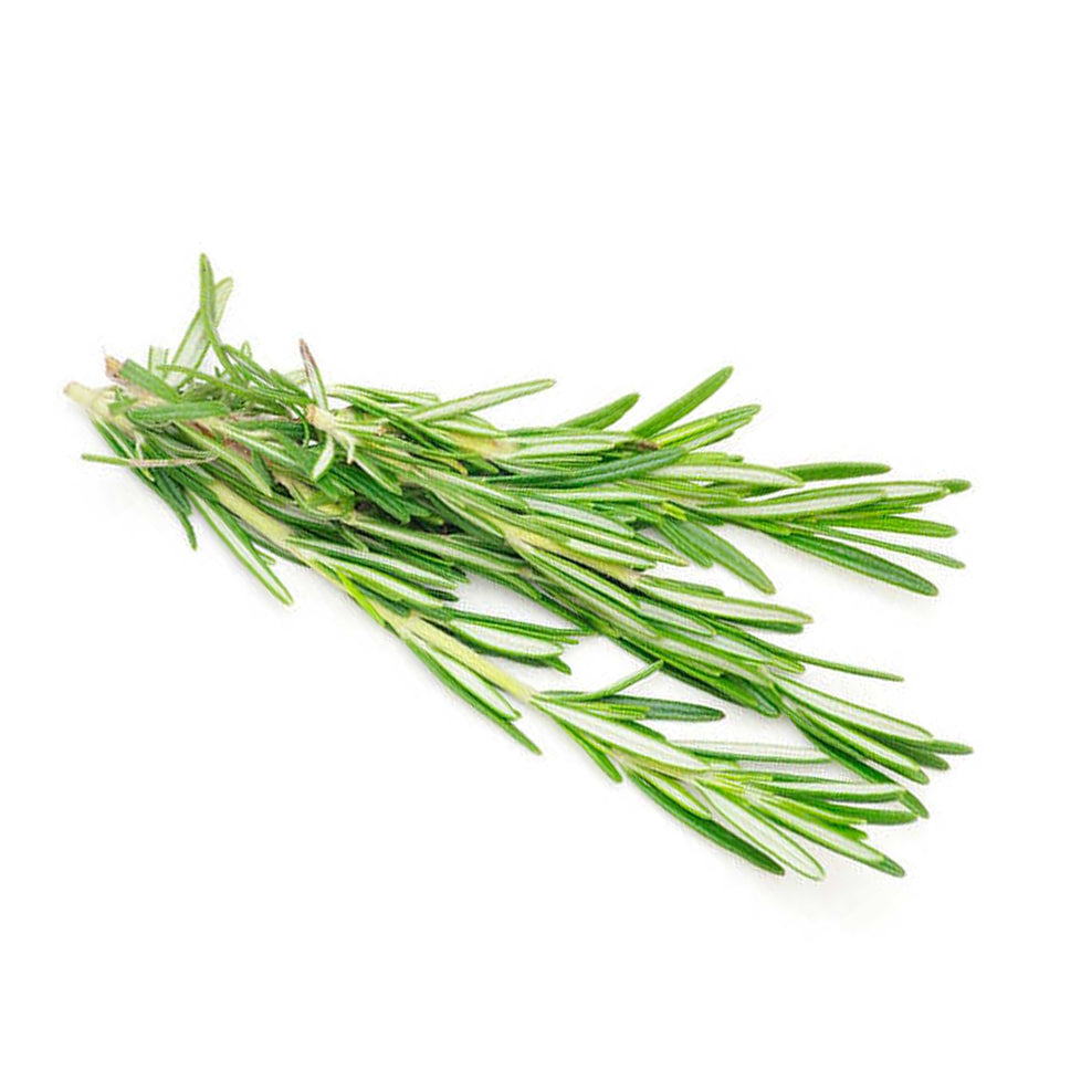 Rosemary