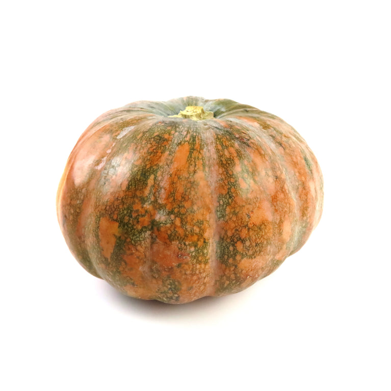 Squash Calabasa