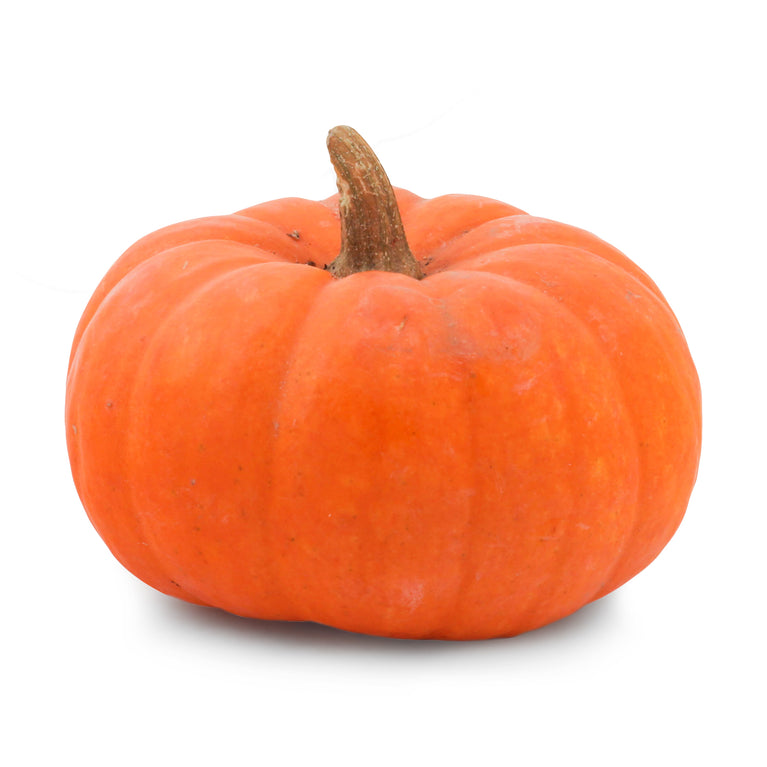 Squash Pumpkin