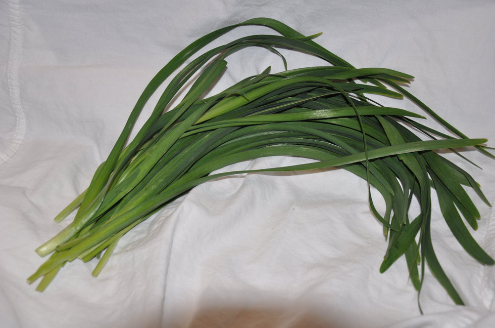 Chives garlic