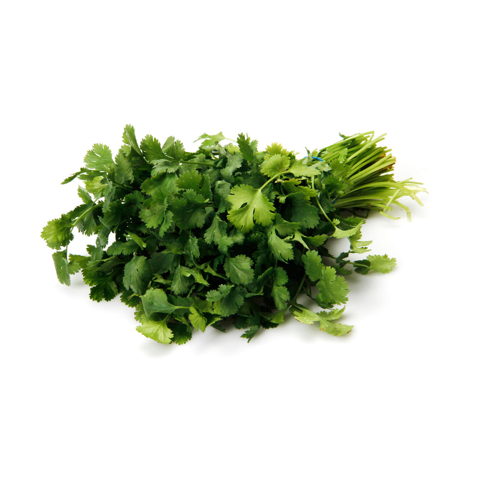 Cilantro