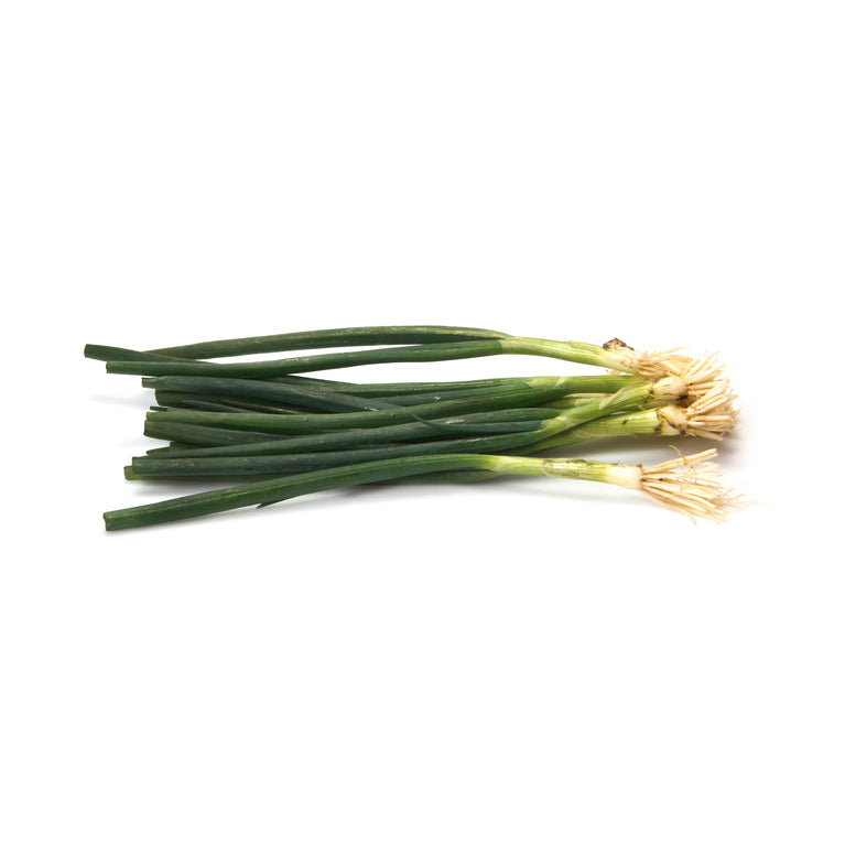 Onion Green -Scallion