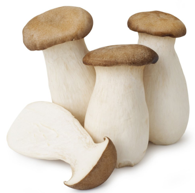 Mushrooms King Oyster, Trumpet – Measian Foods