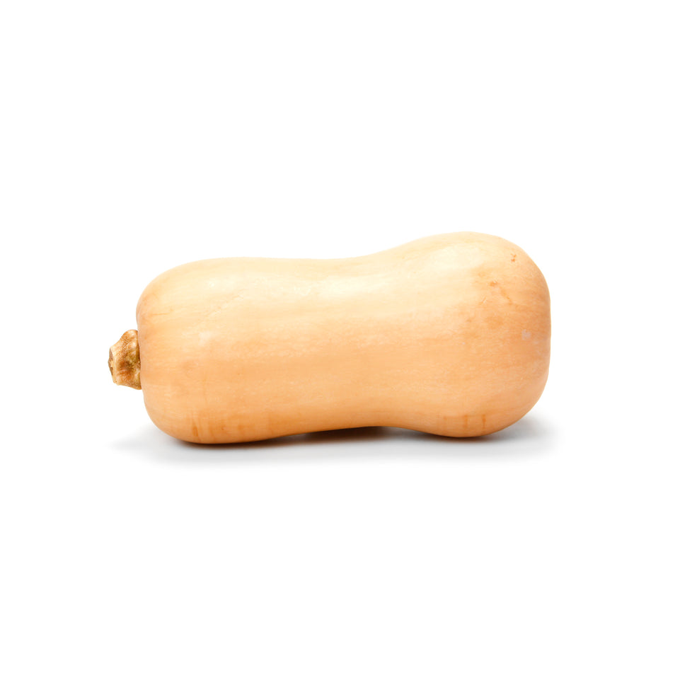 Squash Butternut