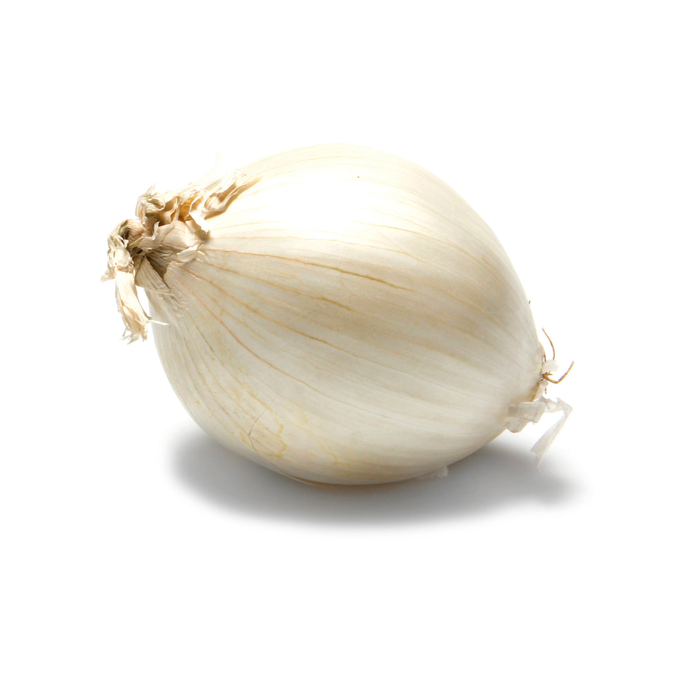 Onion White