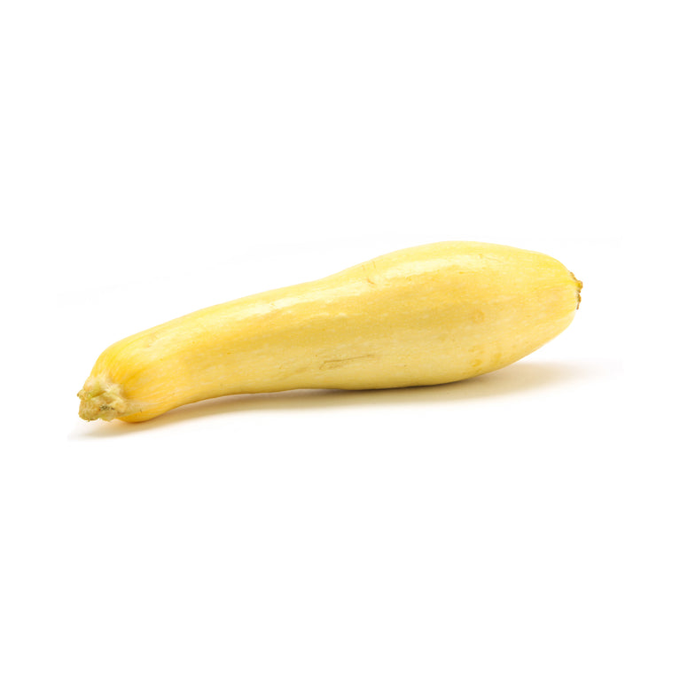 Squash Yellow