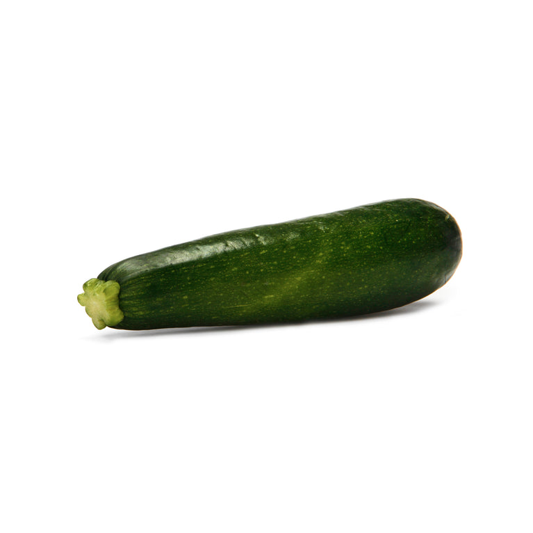 Squash Zucchini