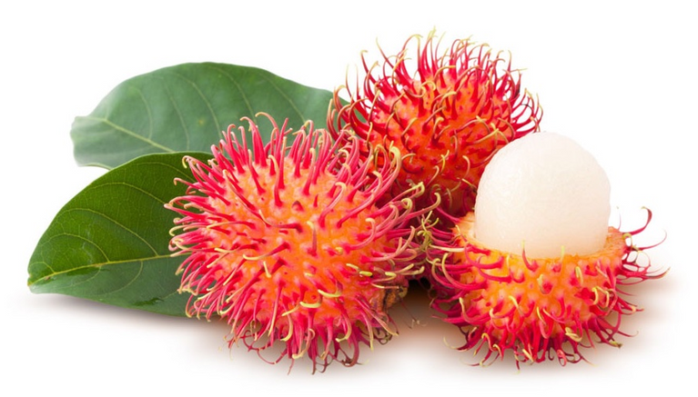 Rambutan