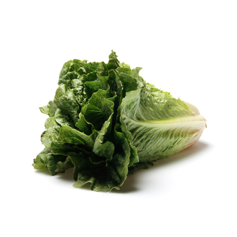 Lettuce Romaine