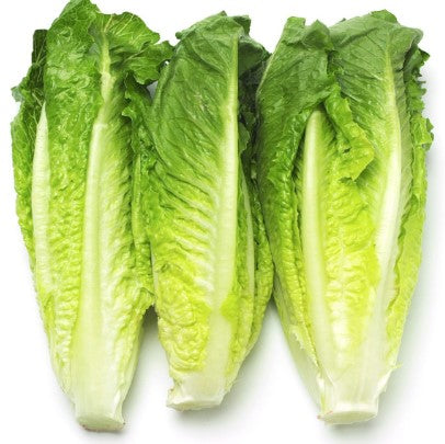 Lettuce Romaine Hearts