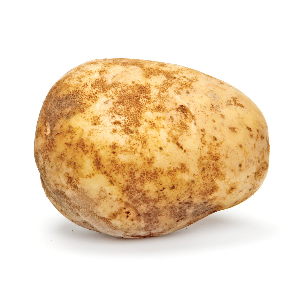 Potato Russet