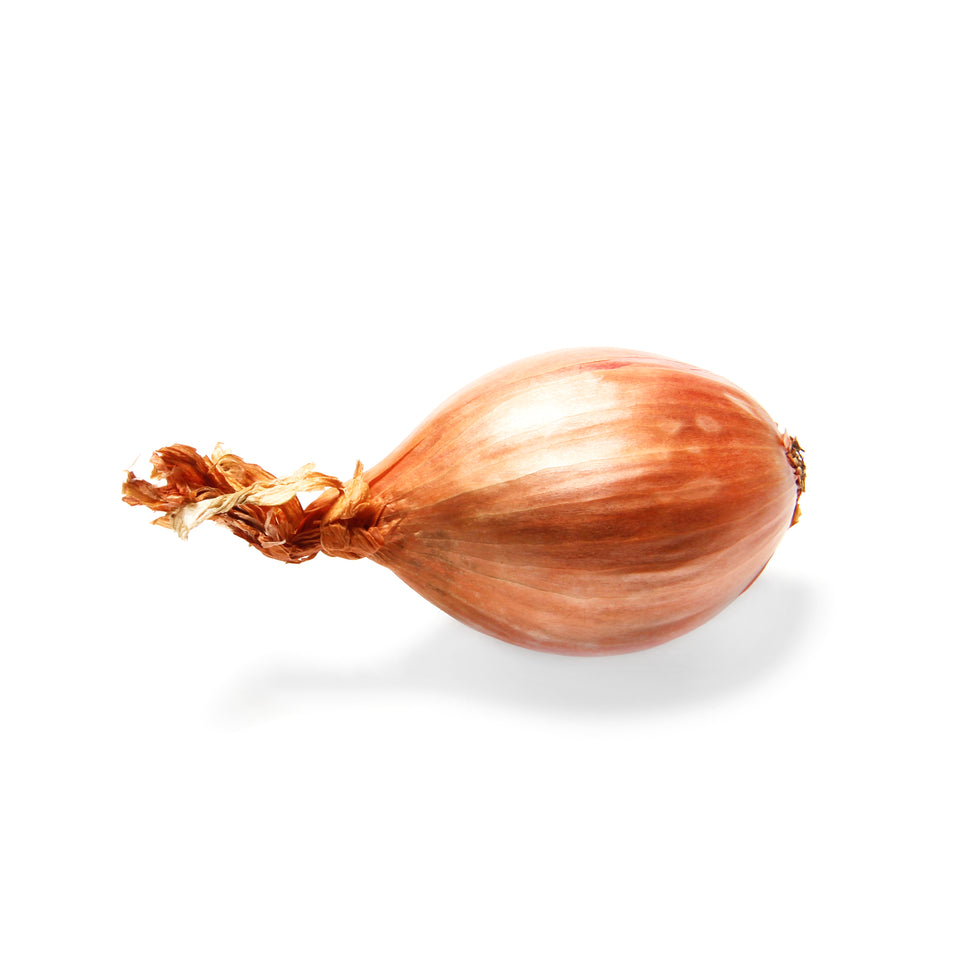 Onion Shallot